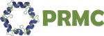 Princeton Regenerative Medicine Logo
